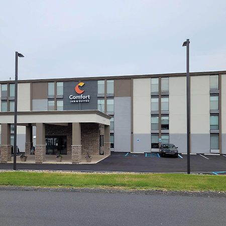 Comfort Inn & Suites Wyomissing-Reading 외부 사진