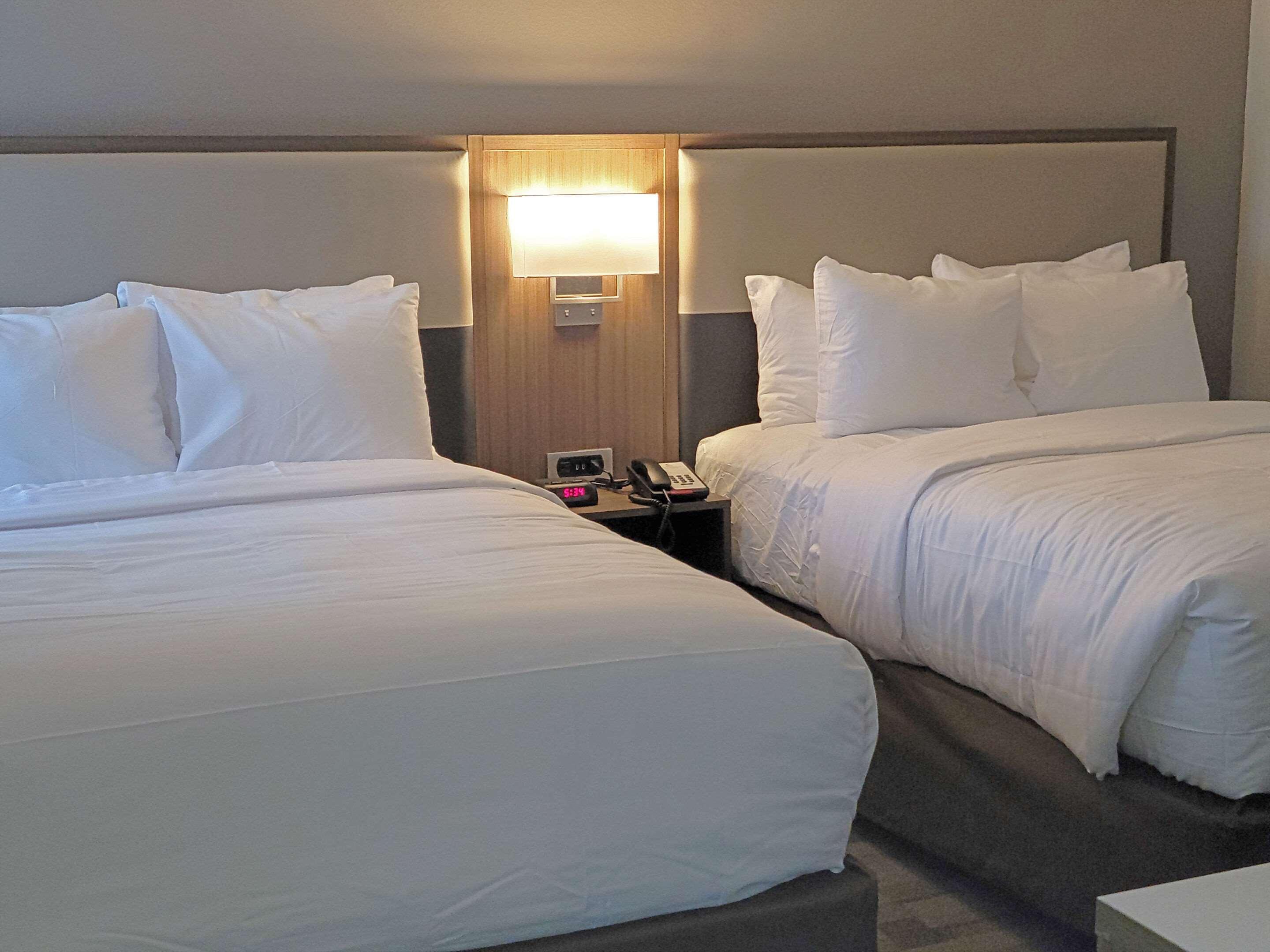 Comfort Inn & Suites Wyomissing-Reading 외부 사진